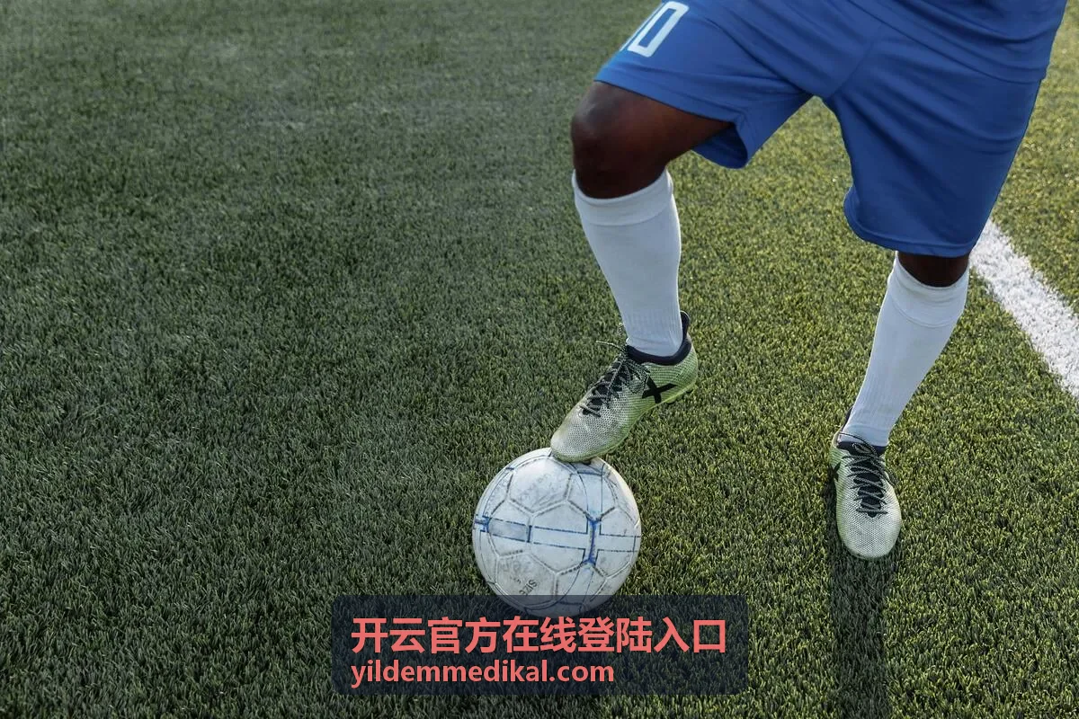 开云官方在线登陆入口专属服务通道访问示意